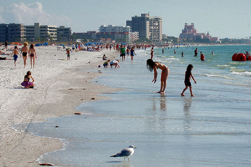 beach at St. Petersburg, Florida