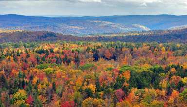 fall colors, Hogback Mountain, Vermont
