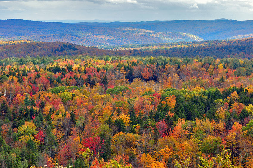 fall colors, Hogback Mountain, Vermont