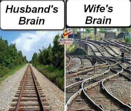 Parting Shots: Husband's Brain vs. Wife's Brain