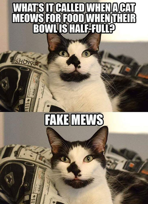 Rodney's Puns: Fake Mews