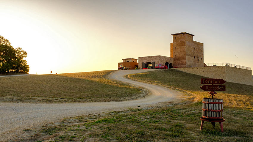 MonteRosola vineyards