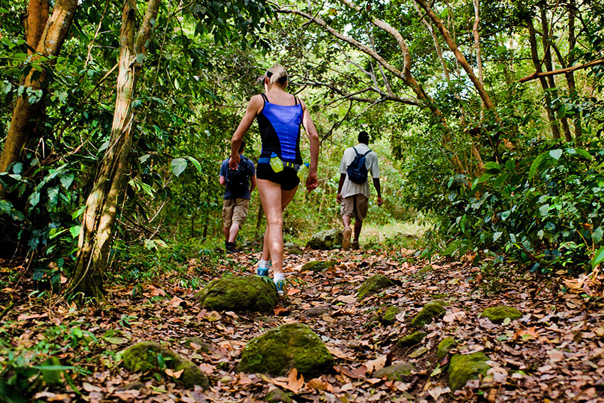 nature hike on Nevis