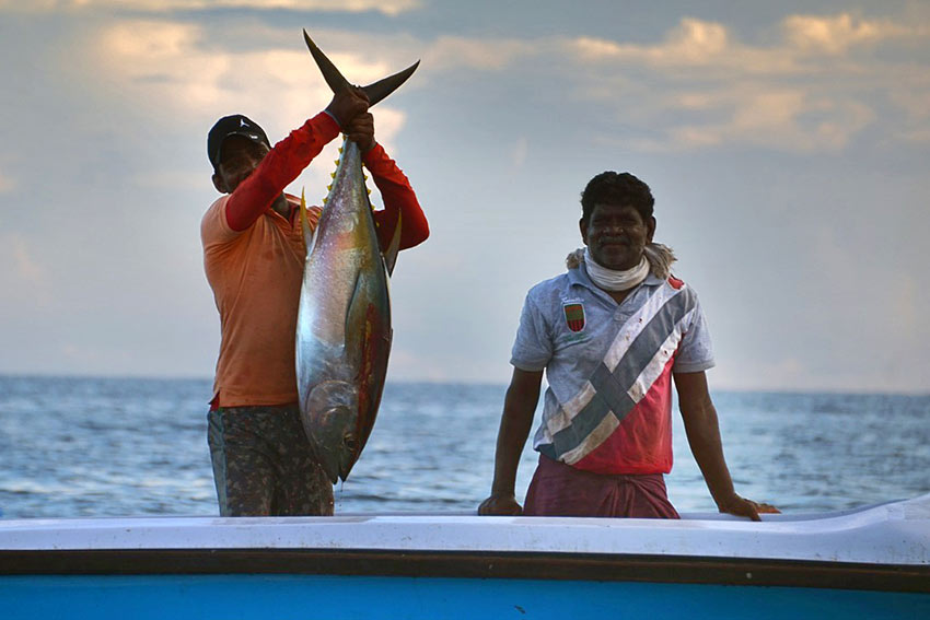 Sri Lankan fishermen with catch
