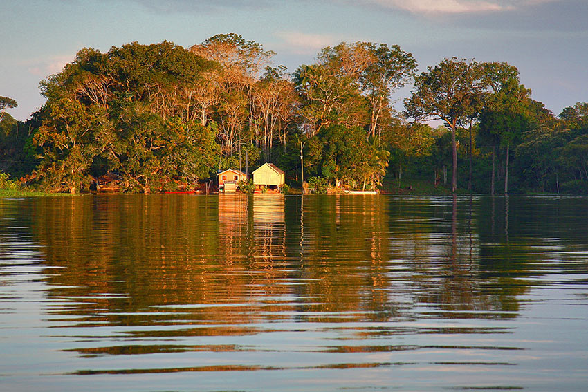 Amazon River banks golden hour view