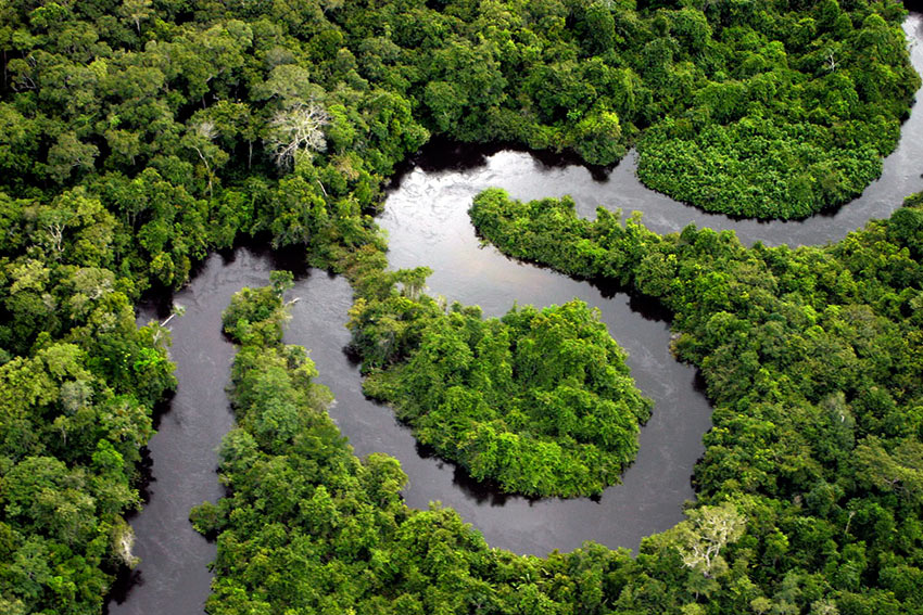 aerial view of a segment of the Amazon River