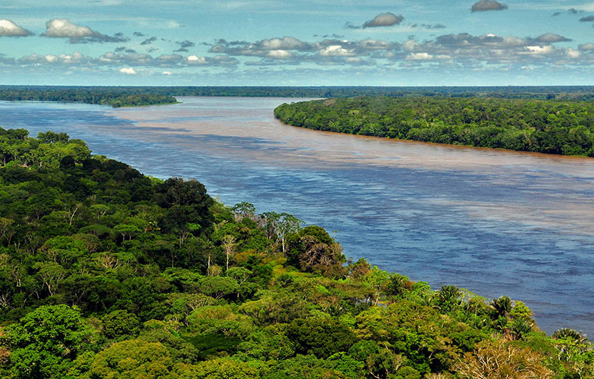 Amazon River and rainforest