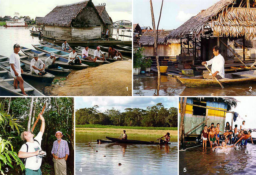 scenes from the Amazon