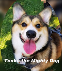Tonka the Mighty Dog