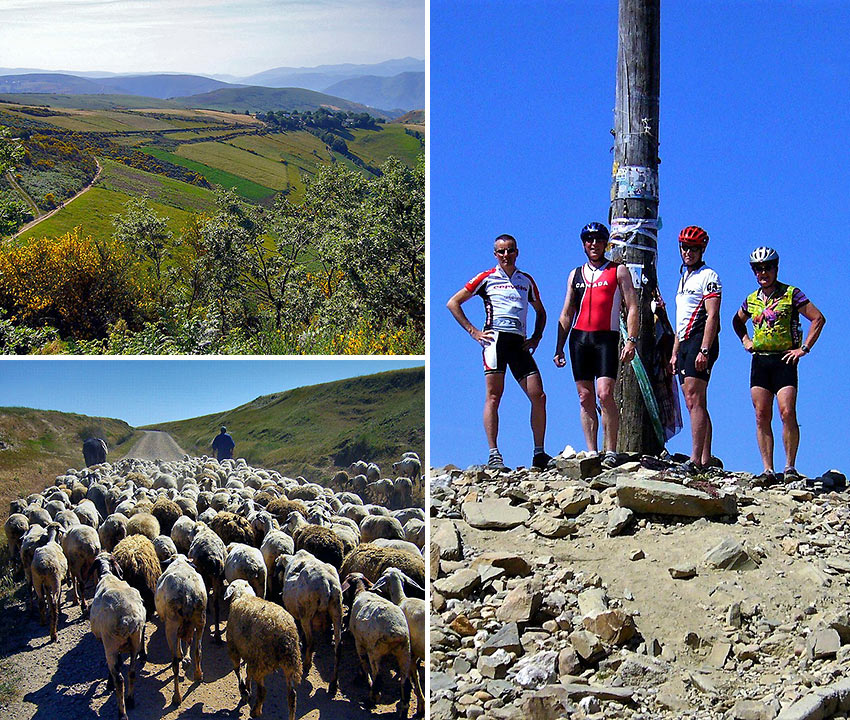 Camino de Santiago