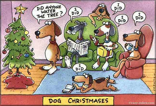 Parting Shots: Dog Christmases