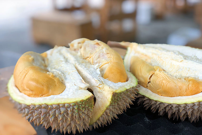 interior durian shot