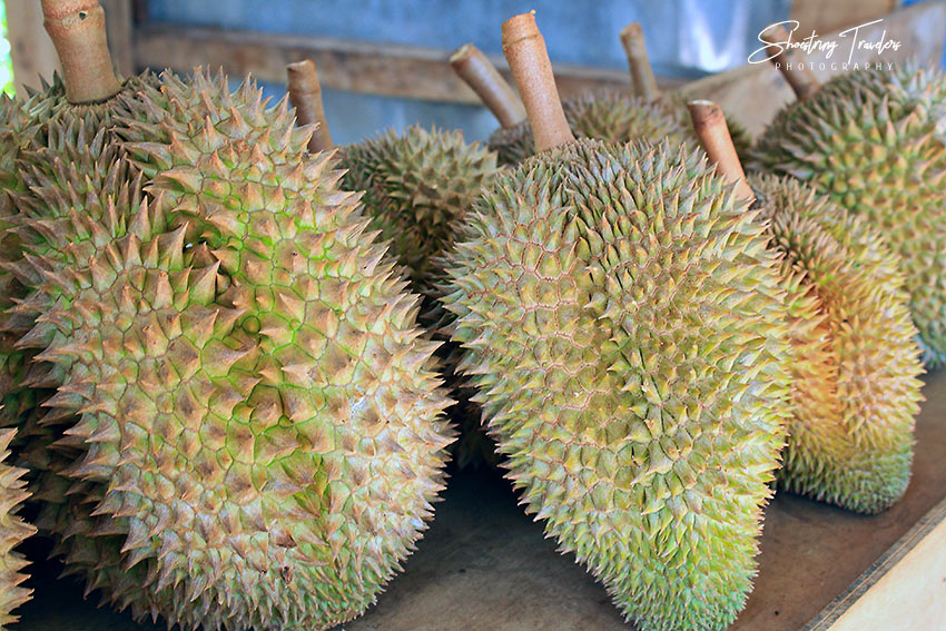 sharp spikes form the durian's outer covering