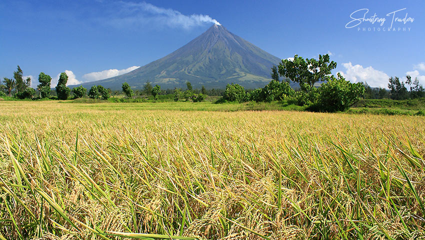 Mayon Volcano, Albay province, Philippines