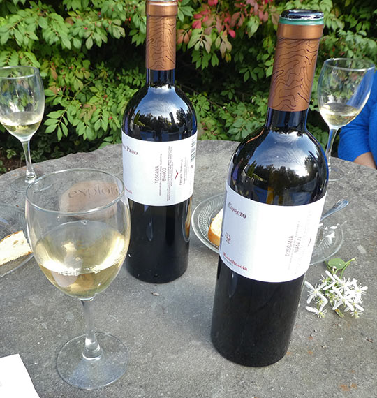 Monterosola organic wines