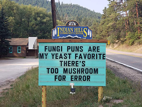 Don's Puns: Fungi Puns