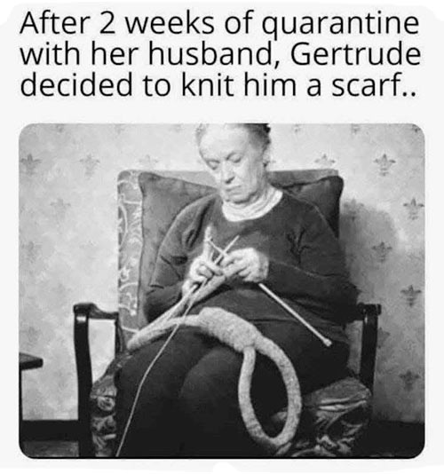 Parting Shots: Gertrude Knits a Scarf