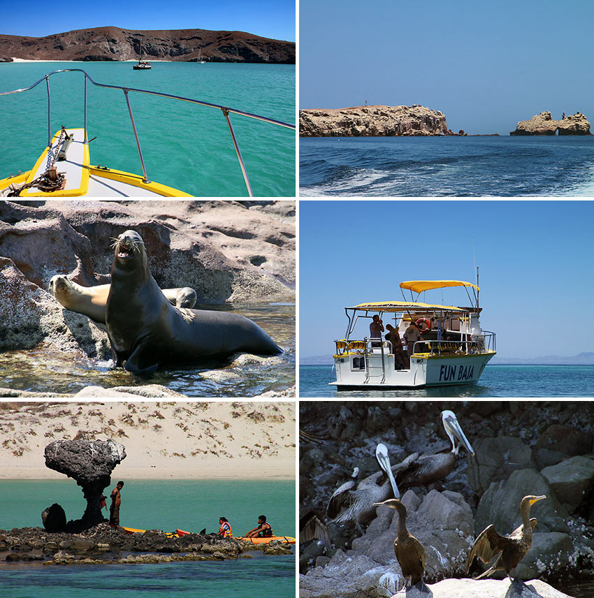 scenes from Isla Espiritu Santo