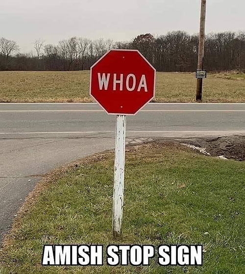 Parting Shots: Amish Stop Sign