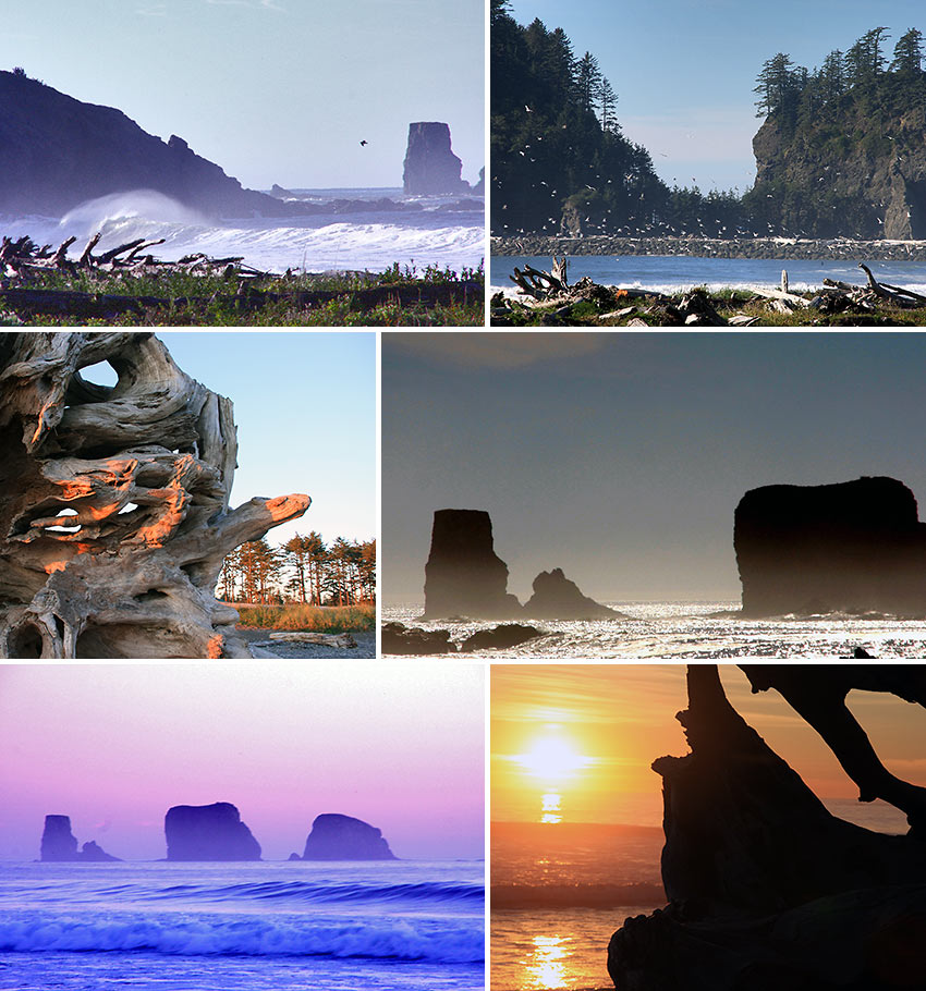 Quileute Oceanside Resort, La Push, Washington