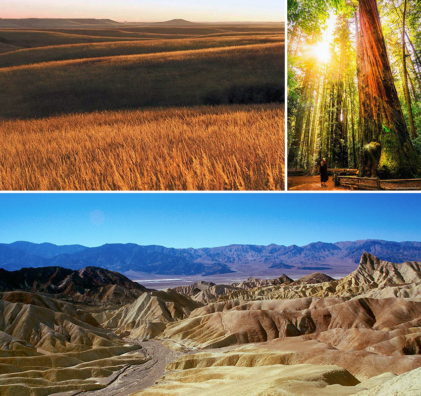 scenes from California Redwood National Park, Flint Hills and Death Valley