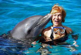 dolphin kissing writer at the Sea Aquarium, Curacao