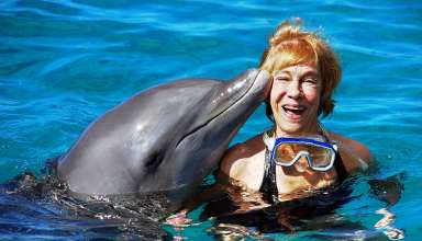dolphin kissing writer at the Sea Aquarium, Curacao