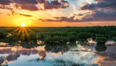 Everglades sunset