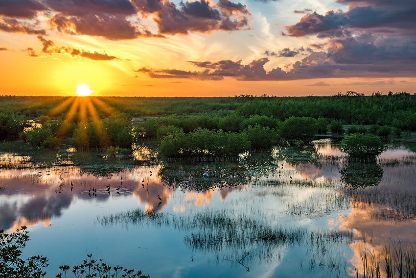 Everglades sunset