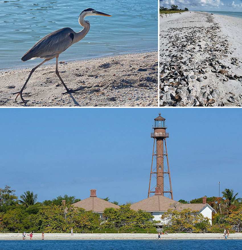 scenes from Sanibel Island