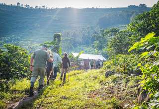 hiking into the Bwindi Impenetrable National Park