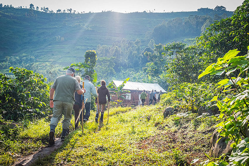 hiking into the Bwindi Impenetrable National Park