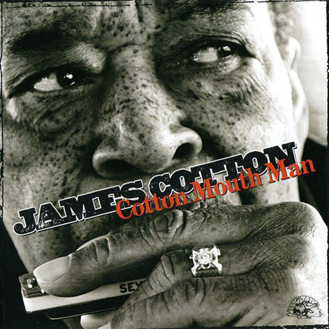 Cotton Mouth Man album cover