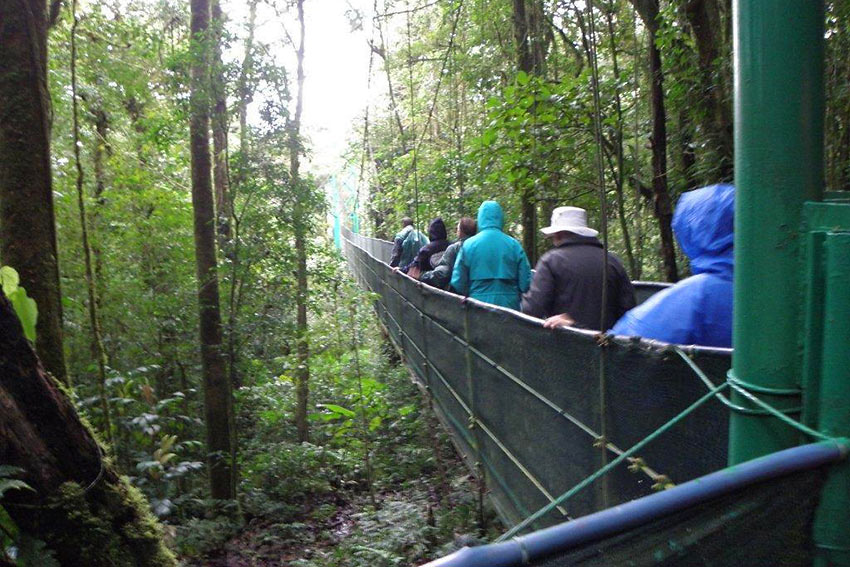 hanging bridge at Monteverde Cloud Forest