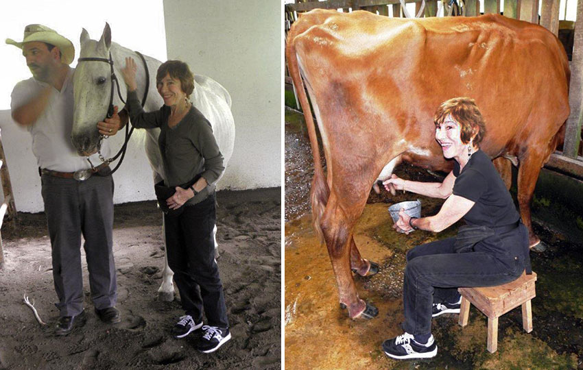 writer with horse and milking a cow