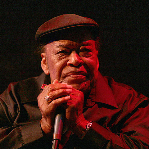 James Cotton in 2007