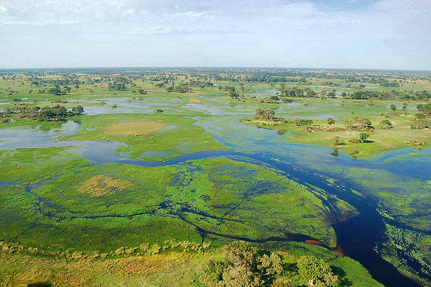 Okavango Delta, Botswana