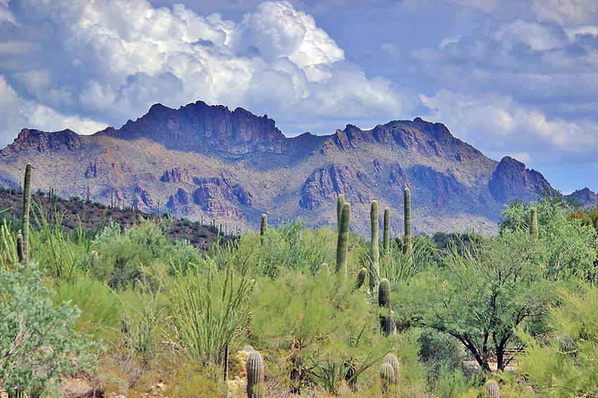 Sonora Desert Museum, Tuscon, Arizona