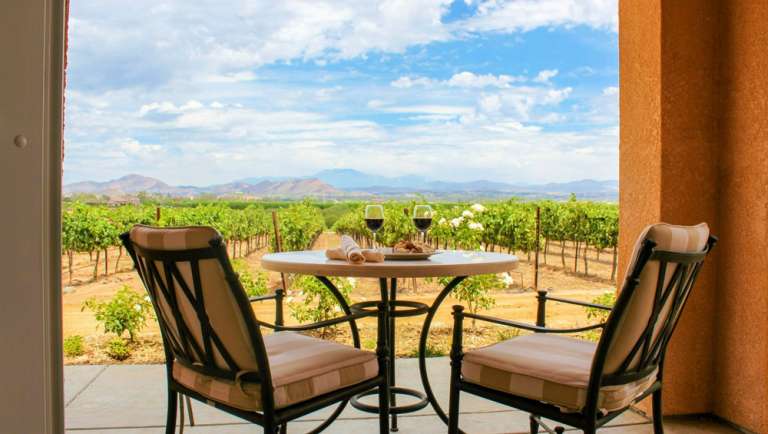 Carter Estate Winery and Resort: Hot Air Balloons, Horse Carriages ...